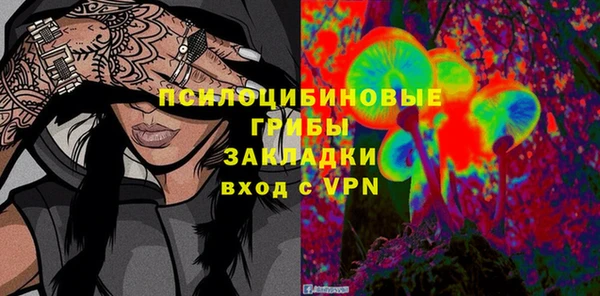 дмт Абаза