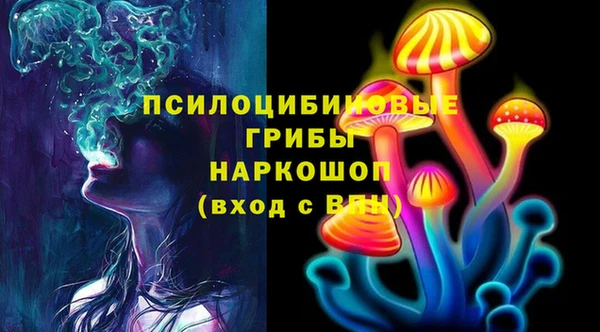 дмт Абаза