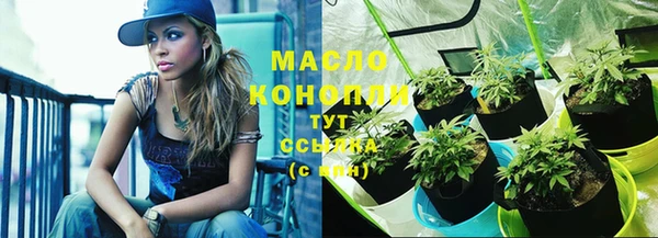 дмт Абаза