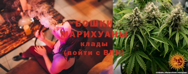 дмт Арсеньев