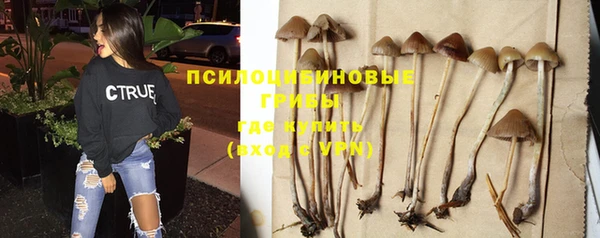дмт Абаза