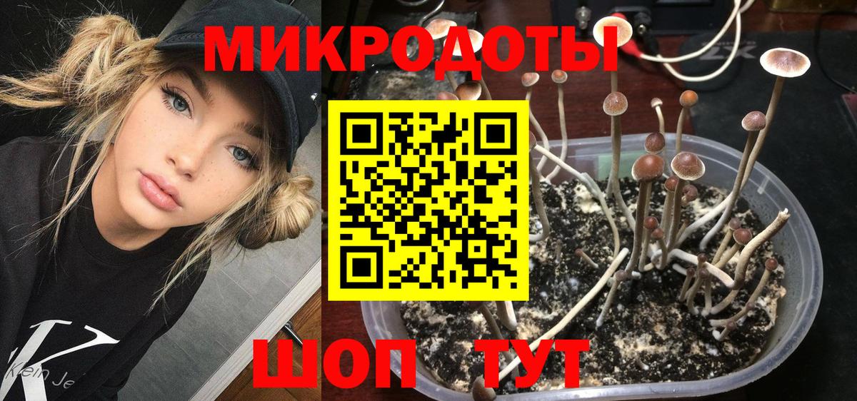 Псилоцибиновые грибы Magic Shrooms Советская Гавань