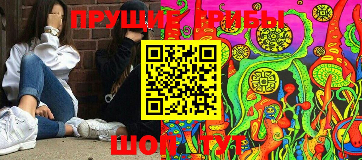 Советская Гавань  Галлюциногенные грибы GOLDEN TEACHER  Вход с VPN 